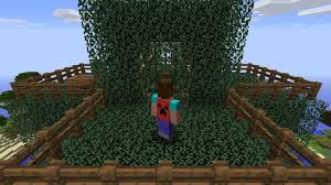 How to get a minecon cape . How To Get A Cape In Minecraft No Mods