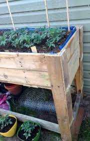 Building and planting your own pallet vegetable garden is easy! Diy Raised Garden Bed Using Pallets Amanda Seghetti