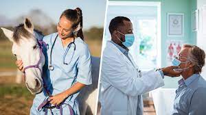 Why You Should Not Use Ivermectin To Treat Or Prevent Covid 19 Fda