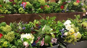 Maybe you would like to learn more about one of these? Farmhouse Greensboro Farmers Curb Market