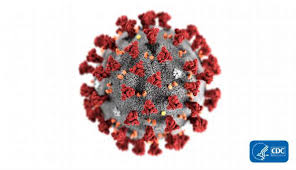 It was first identified in december 2019 in wuhan,. Https Portale Fnomceo It Wp Content Uploads 2020 03 Dossier Coronavirus Def 27 02 2020 Compresso Pdf