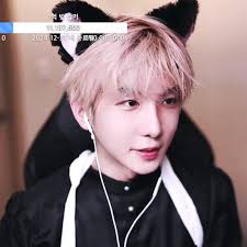 Ruin (internet broadcaster)