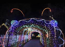 Maybe you would like to learn more about one of these? Garden Of Lights Display Opens Nov 24 At Brookside Gardens In Wheaton Montgomery Community Media