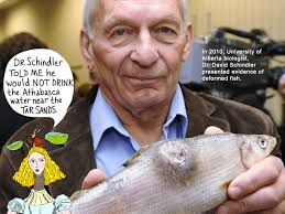 What is Harper Afraid Of?