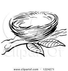 Bird Cartoon Pictures Black And White Clipart Of A Black And White Bird Nest On A Branch Royalty Free Nest Images Black And White Birds White Bird