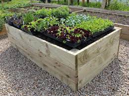 Before looking at the pros and cons of deep beds, it's worth looking a little bit into the history of modern deep bed growing. Pin On Garden Ideas