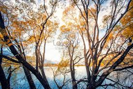 Maybe you would like to learn more about one of these? Autumn Scenery In Queenstown New Zealand Photo Image Picture Free Download 501010381 Lovepik Com