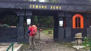 Tirto gumarang cemoro sewu magetan 2.681 views bagi warga magetan khususnya ada wana wisata baru di area gunung lawu yaitu tirto gumarang, wisata baru ini berthema resort, thema park, outbond dan rest area, jadi kalo kamu mau kesini bersama keluarga cocok banget. Tag Cemoro Sewu Bayi Tujuh Bulan Jadi Korban Meninggal Kecelakaan Maut Di Jalur Menikung Sarangan Cemoro Sewu Tribun Jateng