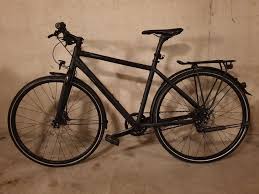 Fahrrad Mit Riemenantrieb Nabenschaltung Kaufen Auf Ricardo