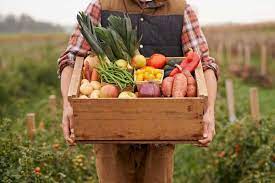 Contextual translation of poem on food nutrition in hindi into hindi. Poems About Food