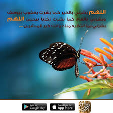 اللهم بشرني بالخير كما بشرت يعقوب بيوسف وبشرني بالفرح كما بشرت زكريا بيحيى اللهم بشرني بما انتظره منك وانت خير المبشرين صباح الخير god hd wallpaper animals