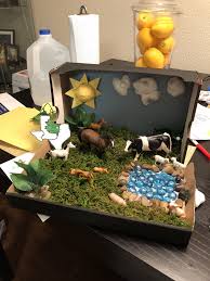 Texas Central Plains Region Project Diorama Projects 4th Grade Social Studies Great Plains