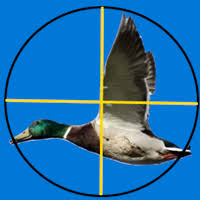 Don't let these stupid ducks run, have fun! Get The Duck Hunting Game Microsoft Store