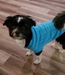 The pets adoption app is a true miracle and rescue many animals. Jtzktsptxuqcbm