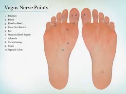 10 Ways To Instantly Stimulate Your Vagus Nerve For Gut Health Inflammation Support Nerve Health Vagus Nerve Vagus Nerve Stimulator