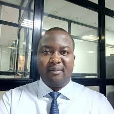 Ogier Mister Darwin Irish Cob