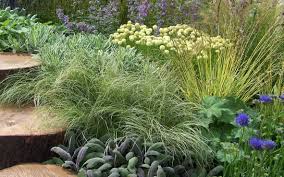 The Magic Of Ornamental Grasses With A Nod To Piet Oudolf Of Course Ornamental Grasses Dream Garden Plants