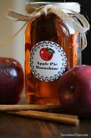 crock pot apple pie moonshine recipe