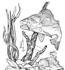 Bass Fishing Clip Art Other Files Clip Art Wood Burning Art Fish Drawings Pyrography Patterns