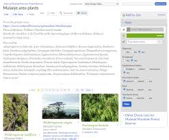 Image result for Kalanchoe latisepala