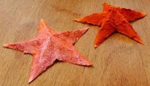 Under The Sea Starfish Craft Ocean Crafts Sea Party Ideas