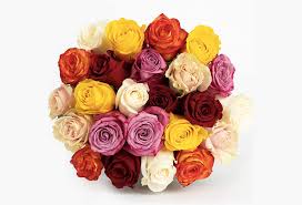 Check spelling or type a new query. Amazon Com Birthday Flower Online Flowers Birthday Flowers Send Flowers Flower Delivery Floral Arrangements Flowers Delivered Rose Bouquet By Bloomsybox Grocery Gourmet Food