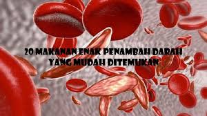 Tembikai adalah salah satu 'super food' dan makanan tambah darah yang kurang diketahui ramai. 20 Makanan Enak Penambah Darah Yang Mudah Ditemukan Cegah Anemia Tribun Sumsel