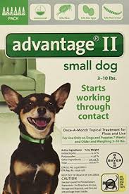 Bayer Animal Health Advantage Ii For Dogs 10 Lbs And Under 6 Pack Small Dogs Flea Control For Dogs Fleas