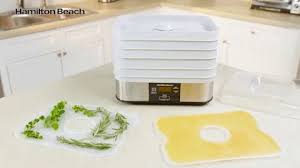 Compact Food Dehydrator