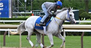 Image result for Handic 1600