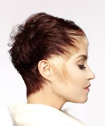It allows us to get creative with our hairstyles in a super fun way. Hairstyles And Haircuts Thehairstyler Com