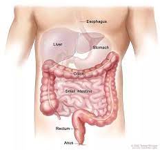 These may include, laboratory tests to study blood picture for infections, chemical analysis and other parameters. I Feel A Light Pressure Under My Left Rib Cage And To The Side What S Wrong With Me Quora