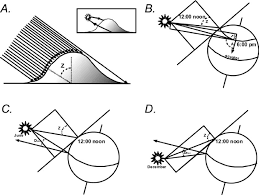 Pests can be a constant nuisance in your home, and it seems that they make their way back inside month after month. A Solar Azimuth A And Solar Zenith Angle Z Create A Topographic Download Scientific Diagram