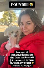 Did anyone lose this dog near Division Street? It had no collar. I walked  past this dog and it did not run away; it was very calm. This dog is tiny,  white,