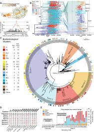 This subreddit seeks to facilitate scientific discussion of this potential global public heterozygous mutation was considered only if it was supported by forward and reverse reads of an amplicon and 168 viral genomes were classified. Genomic Epidemiology Of Superspreading Events In Austria Reveals Mutational Dynamics And Transmission Properties Of Sars Cov 2 Science Translational Medicine