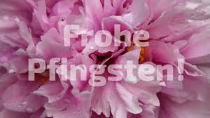 Jedes jahr markiert der pfingstsonntag genau 50 tage nach dem osterfest und zehn tage nach der himmelfahrt den anfang von pfingsten und ist. 34 Kostenlose Bilder Zu Pfingsten Besten Bilder Von Ausmalbilder