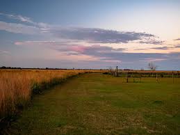 Had pristine, dark skies, perfect for photos; Kissimmee Prairie Preserve State Park Imagine Our Florida Inc