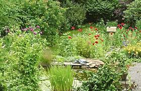 Quiz What Is Your Garden Style The Garden Glove Garden Styles Natural Garden Garden Design