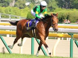 海外競馬 ジョディー 武藤雅騎手 ベルモントオークス参戦決定 競馬ニュース Netkeiba Com