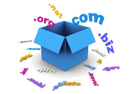 Domain Registrations Services