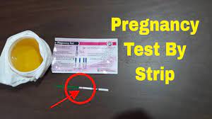 Pregnancy Check By Pregnancy Strip Test Youtube