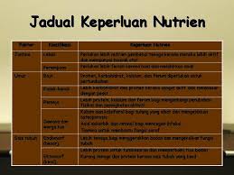 Sains rumah tangga tingkatan 4 bab 1. Bab 1 Makanan Dan Pemakanan Ekonomi Rumah Tangga Tingkatan 5