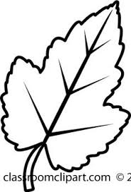 Black And White Outline Black And White Leaf Clipart Maple Leaf Clipart Black And White Clipart Panda Free Clipart Leaf Clipart Black And White Leaves White Leaf