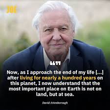 Blue Jay! Lynde Shores, May 28th