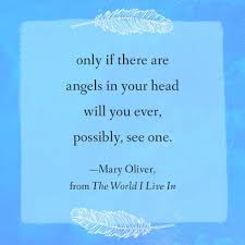 How to write a devotional poem. Devotions The Selected Poems Of Mary Oliver By Mary Oliver Paperback Barnes Noble