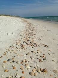 Pin On Travel Panhandle Port St Joe Mexico Beach And Apalachicola Florida And