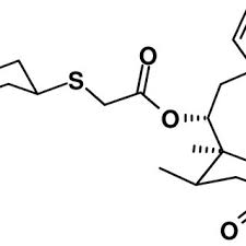 Image result for Retapamulin