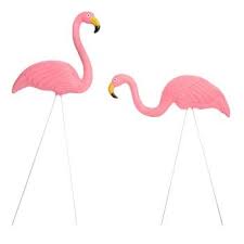 Plastic Pink Lawn Flamingos 2 Pack Christmas Tree Shops And That Lawn Flamingos Christmas Tree Shop Pink Lawn