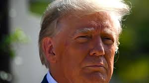 Tiffany Trump wedding: Donald Trump gives toast