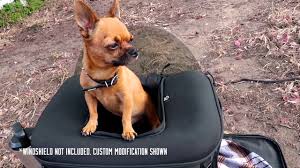 The wags motorcycle pet carrier can be custom ordered to fit different sized pets according to the customer's needs. 5 Best Motorcycle Dog Carrier Reviews March 2021 Large Small Pets